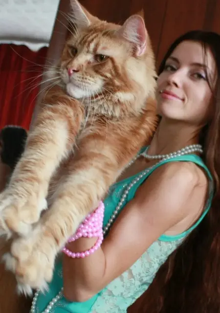 Я Наталья, 26, знакомлюсь для приятного времяпровождения в Амстердаме